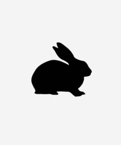 Buy Dutch Belted Rabbit Whole Blood