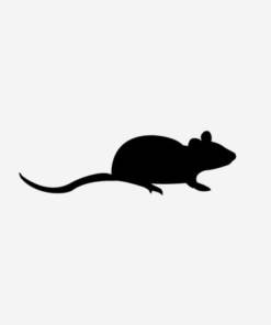 Buy BALBc Mouse Blood RNA